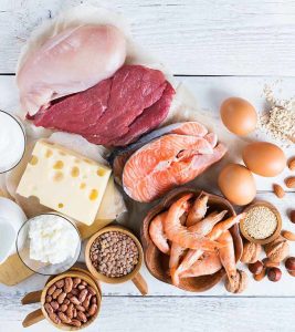 Potential Benefits of High-Protein Diets