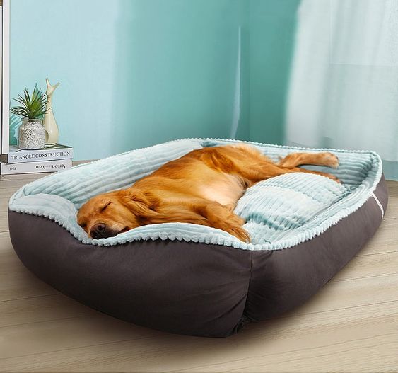 Tips for Choosing the Right Chew Proof Dog Bed