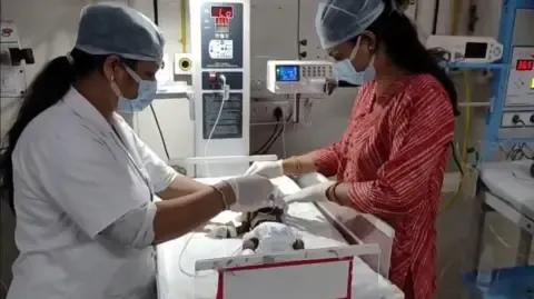 Baby Interred Alive in the Country Struggles for Survival