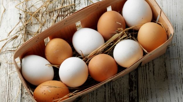 What the Difference Between White and Brown Eggs