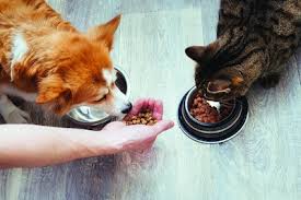 USA Pets Food Info: A Guide to Choosing the Best Nutrition for Your Pets